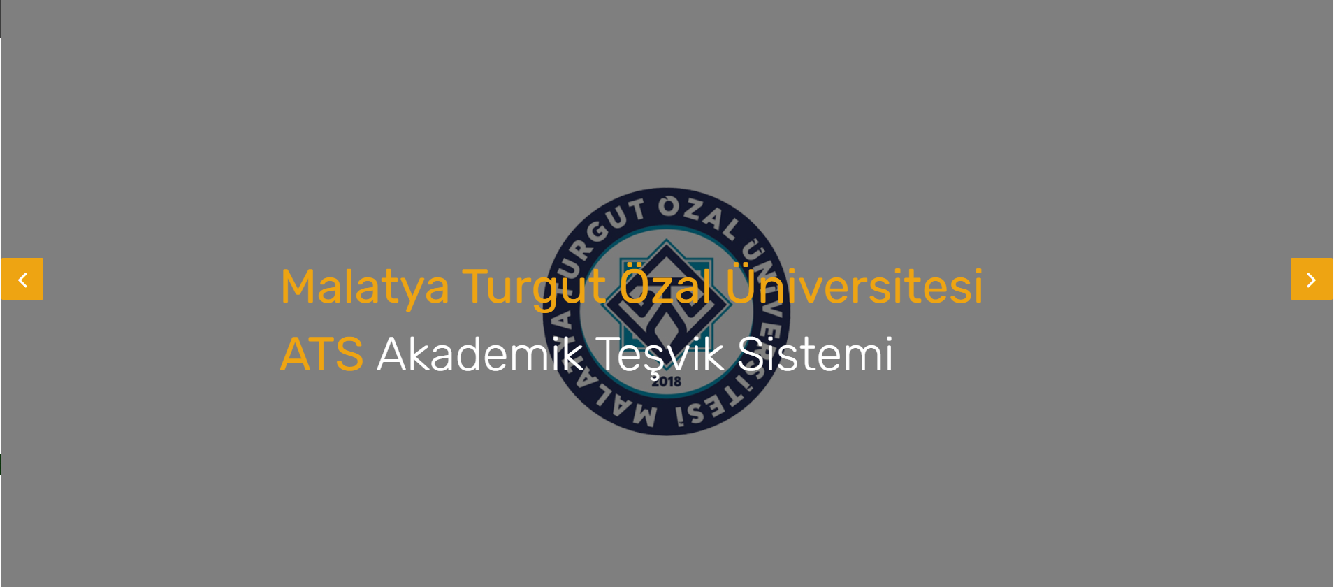 Akademik Teşvik